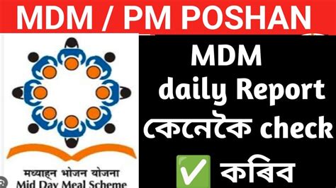 mdm daily report mp